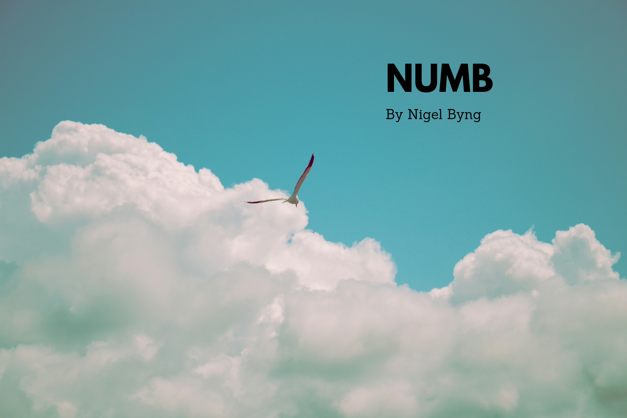 Numb by Nigel Byng